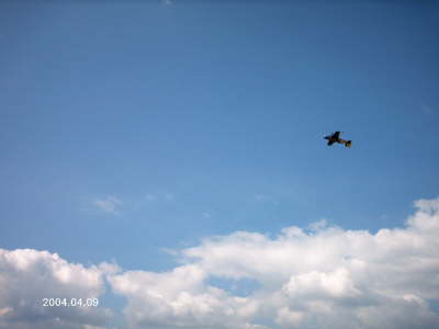 Miting Aviatic Brasov 48